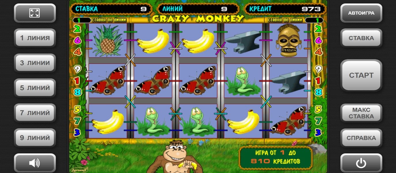 Crazy Monkey